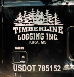 Timberline Logging Lettering