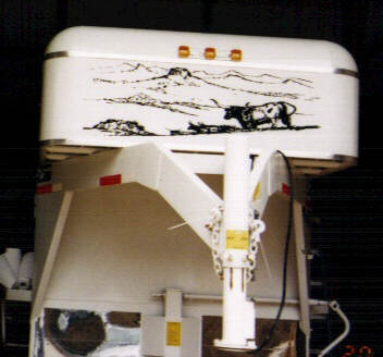 Beavers Longhorns Lettering