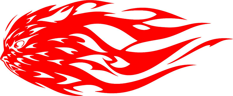 Small bird head Graphic Flame Decal