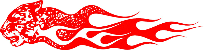 Jaguar head Graphic Flame Decal