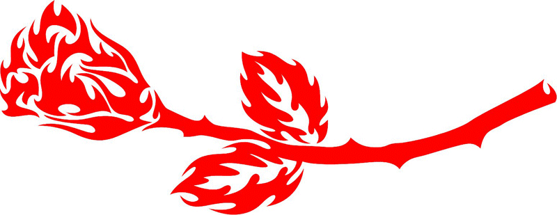 Tulip Rose Graphic Flame Decal