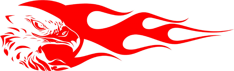 ehfl_09 Eagle Head Flames Graphic Flame Decal