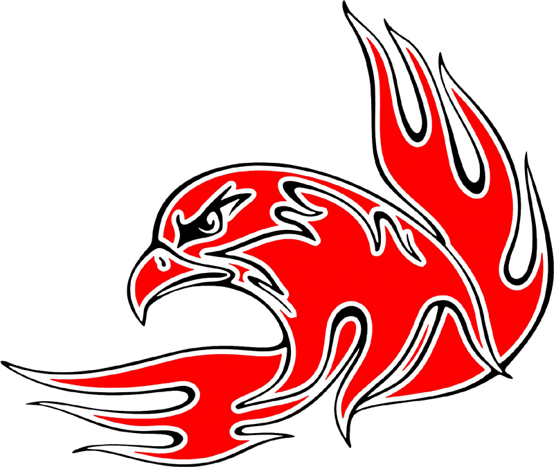 esefl_00 Easy Eagle Flames Graphic Flame Decal