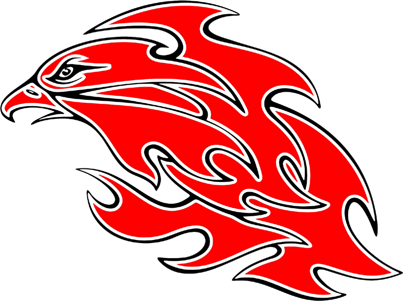 esefl_13 Easy Eagle Flames Graphic Flame Decal