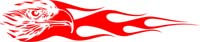 Eagle
                          Head Flame Stripe List