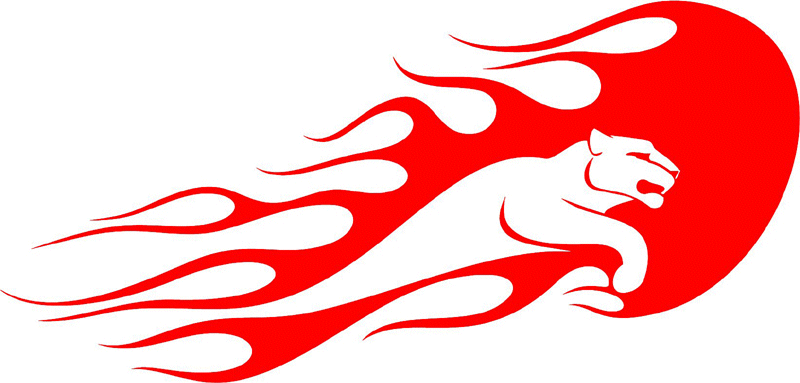 exclusive_01 Exclusive Flames Graphic Flame Decal