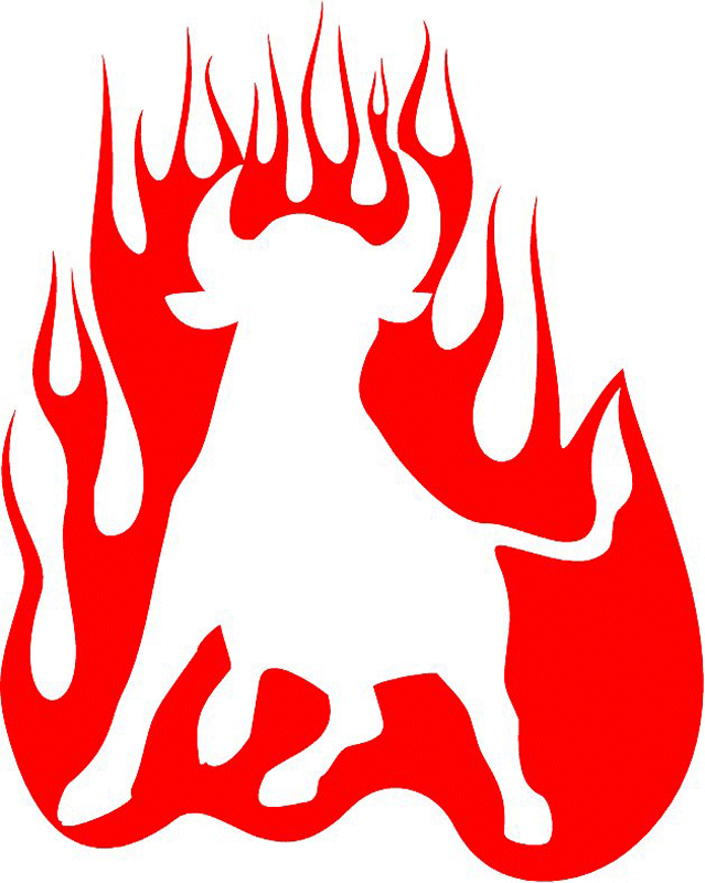 exclusive_02 Exclusive Flames Graphic Flame Decal