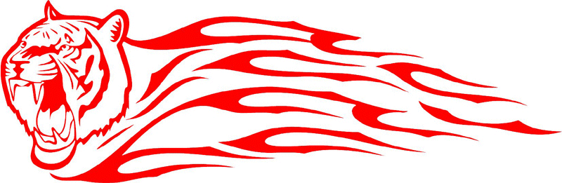 exclusive_03 Exclusive Flames Graphic Flame Decal