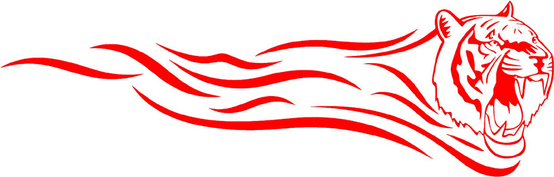 exclusive_05 Exclusive Flames Graphic Flame Decal