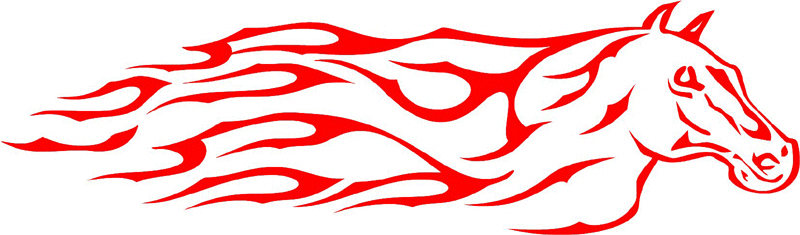 exclusive_06 Exclusive Flames Graphic Flame Decal