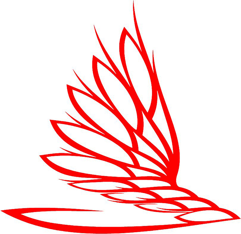 exclusive_13 Exclusive Flames Graphic Flame Decal
