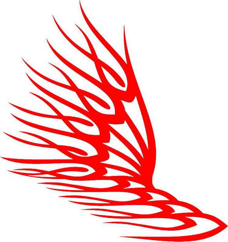 exclusive_14 Exclusive Flames Graphic Flame Decal