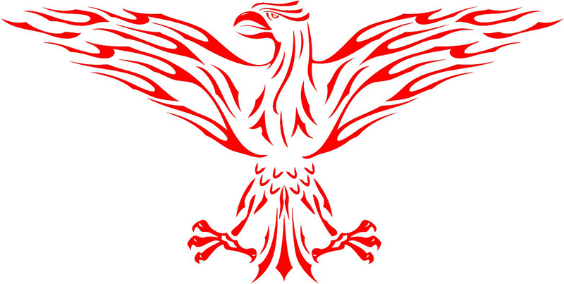 exclusive_15 Exclusive Flames Graphic Flame Decal