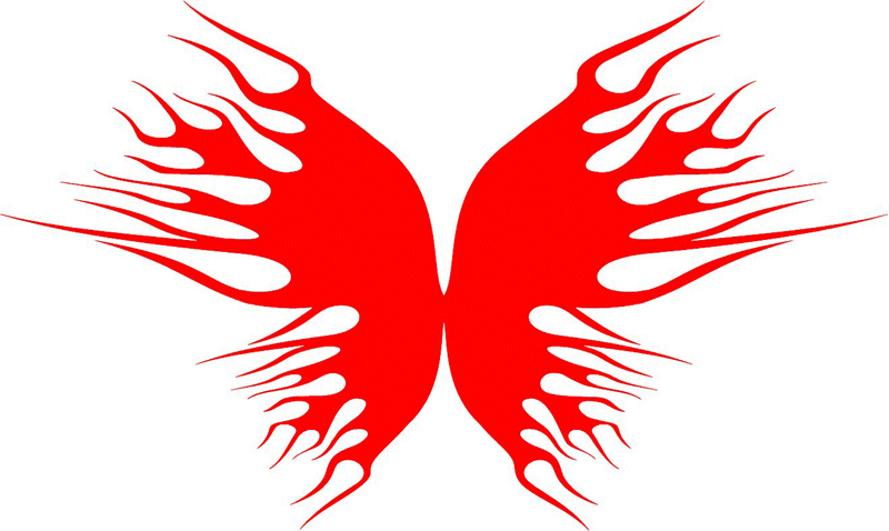 exclusive_21 Exclusive Flames Graphic Flame Decal