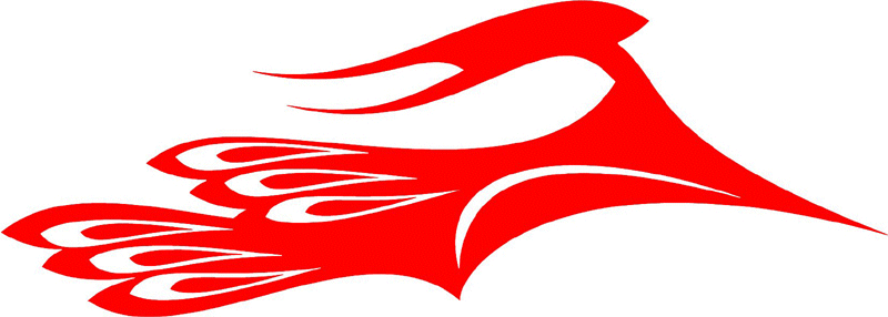exclusive_75 Exclusive Flames Graphic Flame Decal