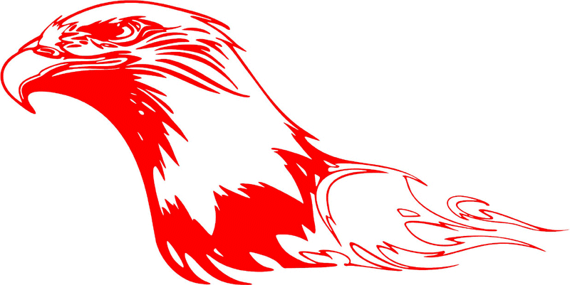 fleh_16 Flaming Eagle Head Graphic Flame Decal