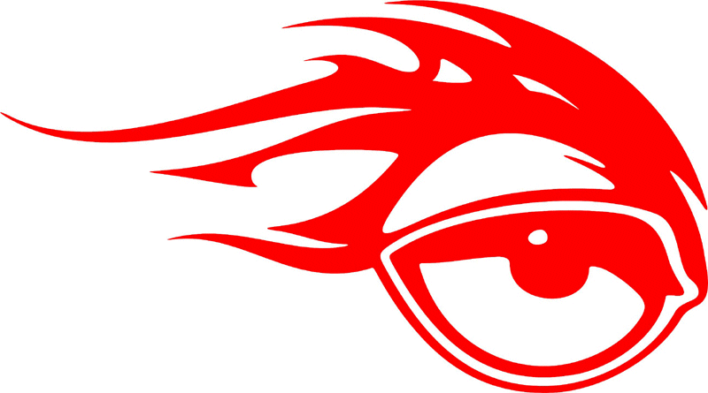 fleh_33 Flaming Eagle Head Graphic Flame Decal