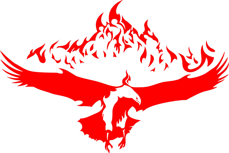 fle_00 Flaming Eagles Graphic Flame Decal