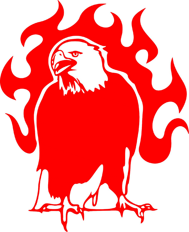 fle_04 Flaming Eagles Graphic Flame Decal