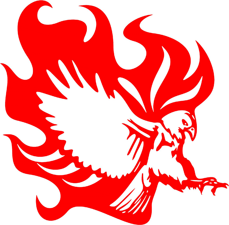 fle_07 Flaming Eagles Graphic Flame Decal