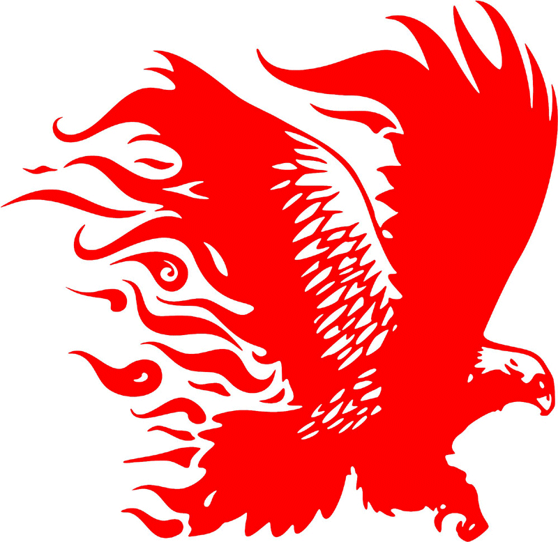 fle_09 Flaming Eagles Graphic Flame Decal
