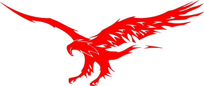fle_12 Flaming Eagles Graphic Flame Decal