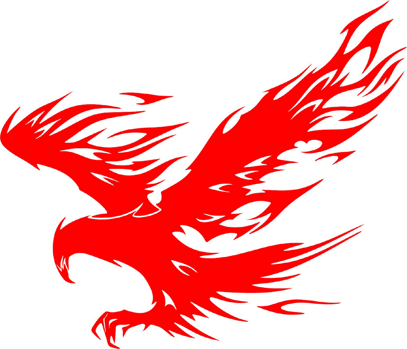 fle_17 Flaming Eagles Graphic Flame Decal