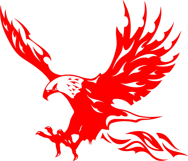 fle_21 Flaming Eagles Graphic Flame Decal