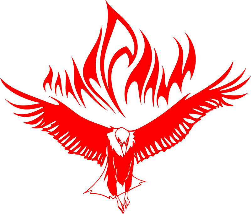 fle_24 Flaming Eagles Graphic Flame Decal