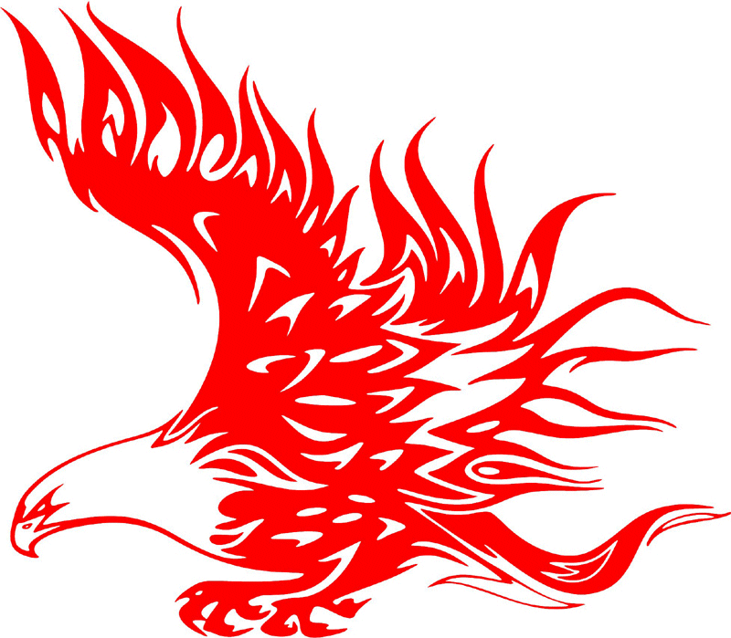fle_25 Flaming Eagles Graphic Flame Decal