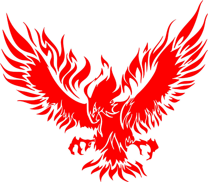 fle_26 Flaming Eagles Graphic Flame Decal