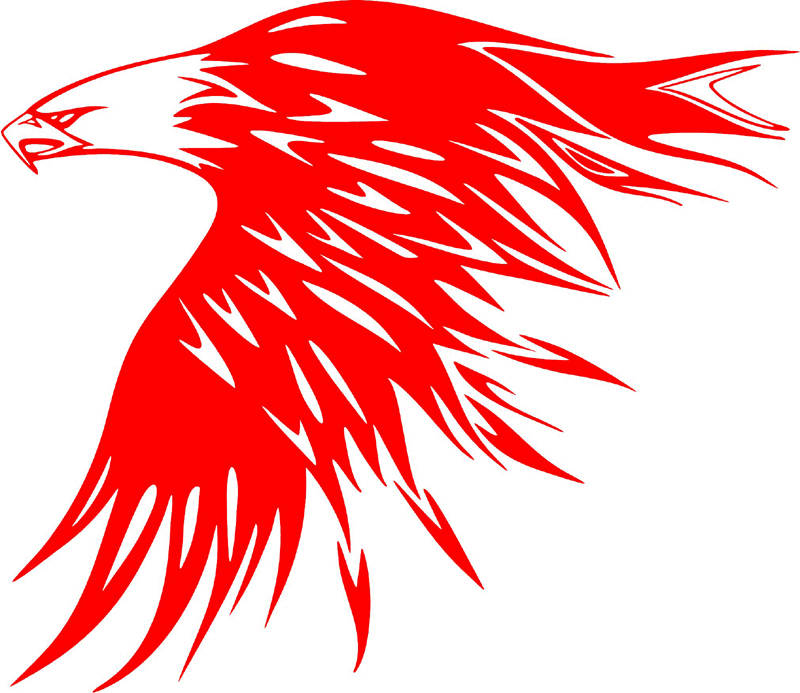 fle_29 Flaming Eagles Graphic Flame Decal