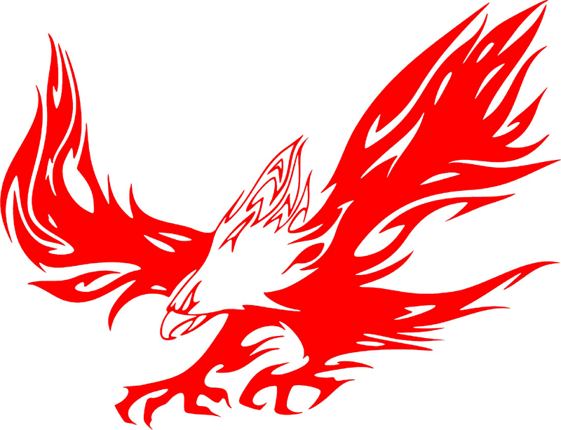 fle_34 Flaming Eagles Graphic Flame Decal