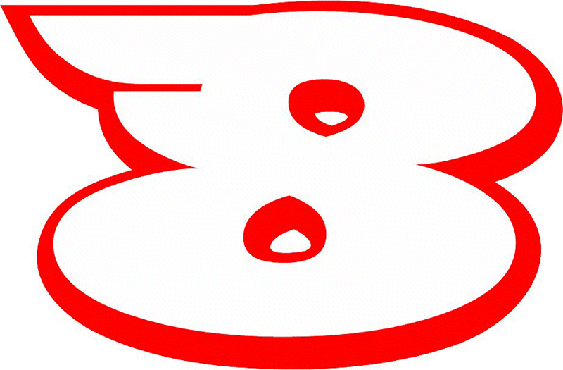 ORIGINAL_8 Racing Flaming Numbers Graphic Flame Decal