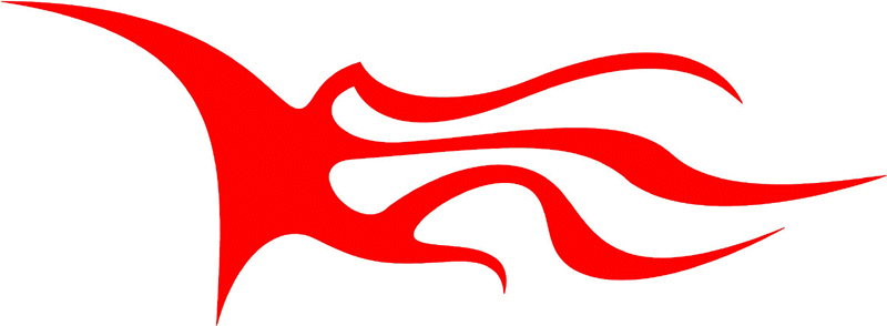extra_48 Side Flames Graphic Flame Decal