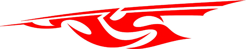 SPEED_14 Speed Flames Graphic Flame Decal