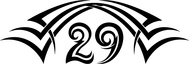 tnhood_29 Tribal Racing Numbers Graphic Flame Decal