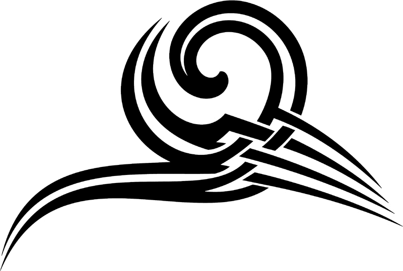 vt2_054 Automotive Tribal Graphic Flame Decal