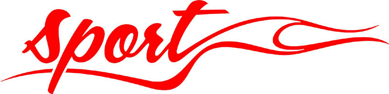 Sport with Flames verbage Graphic Flame Decal