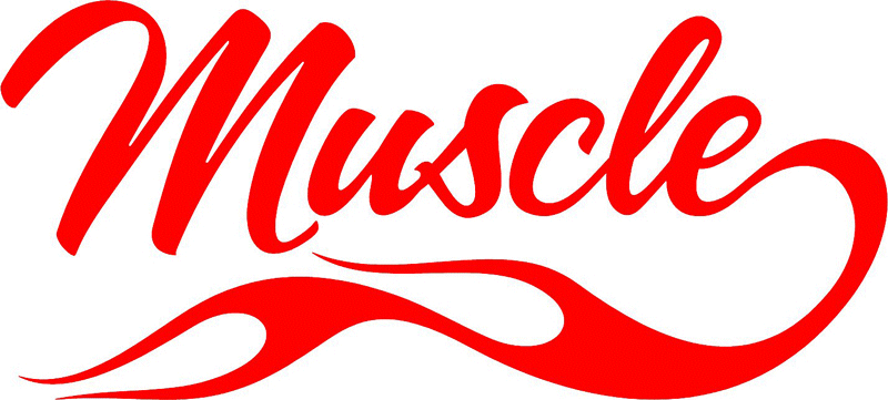 Muscle in Flames verbage Graphic Flame Decal