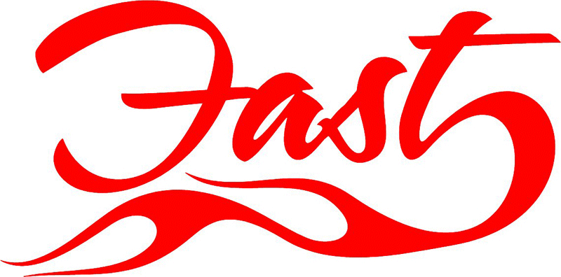 Fast in Flames verbage Graphic Flame Decal