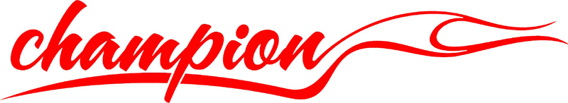 champion in Flames verbage Graphic Flame Decal