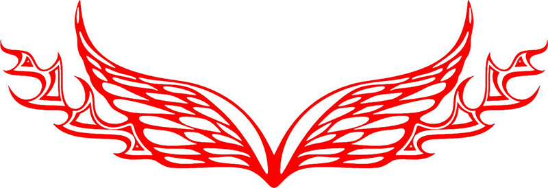 WING_17 Flames with Wings Graphic Flame Decal