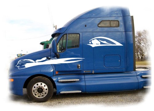 Semi Graphic Side Stripes Decals